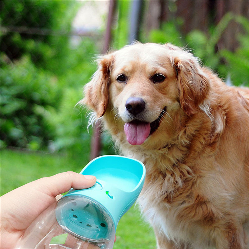 Golden retriever drinking fresh water from IntelWink portable leak-proof dog travel bottle outdoors