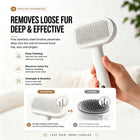 Self-cleaning pet grooming brush removing trapped fur with button press