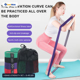 IntelWink Non-Slip Fabric Long Resistance Exercise Bands & Pull-Up Assist Strength Loop Set with 4