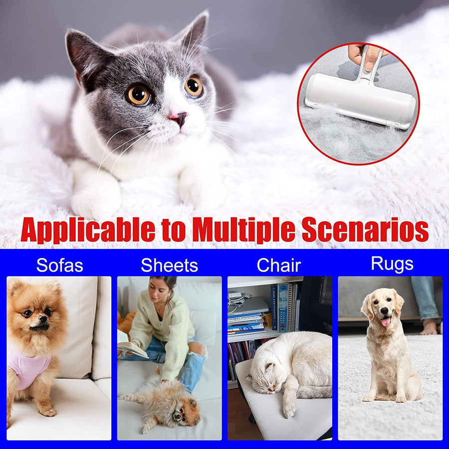 Multi-surface cleaning applications including sofas, area rugs, car interiors, and bedding