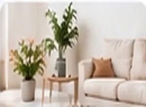 Home & Living Essentials