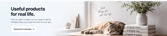 IntelWink Curated Everyday Innovations
